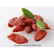 Berry de Goji séché (Wolfberry)